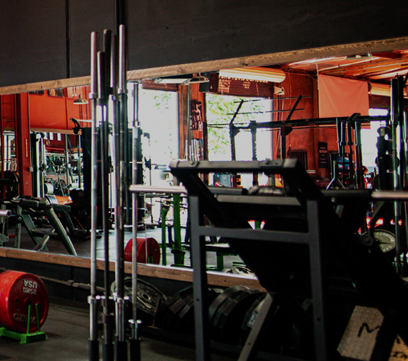FULLY STOCKED GYM
